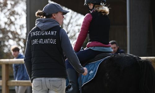 Formation Enseignant équitation (BPJEPS)