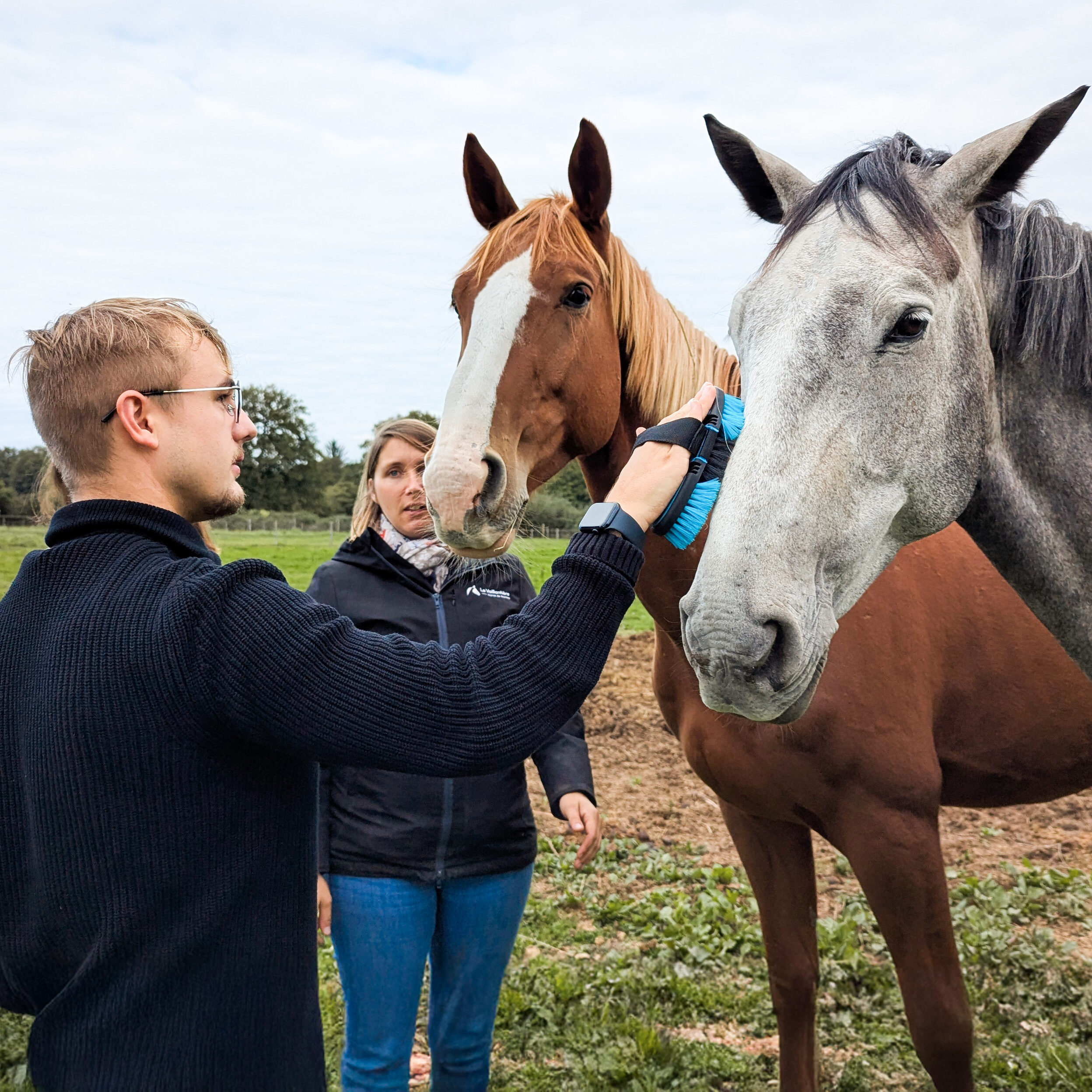 team building équitation nantes